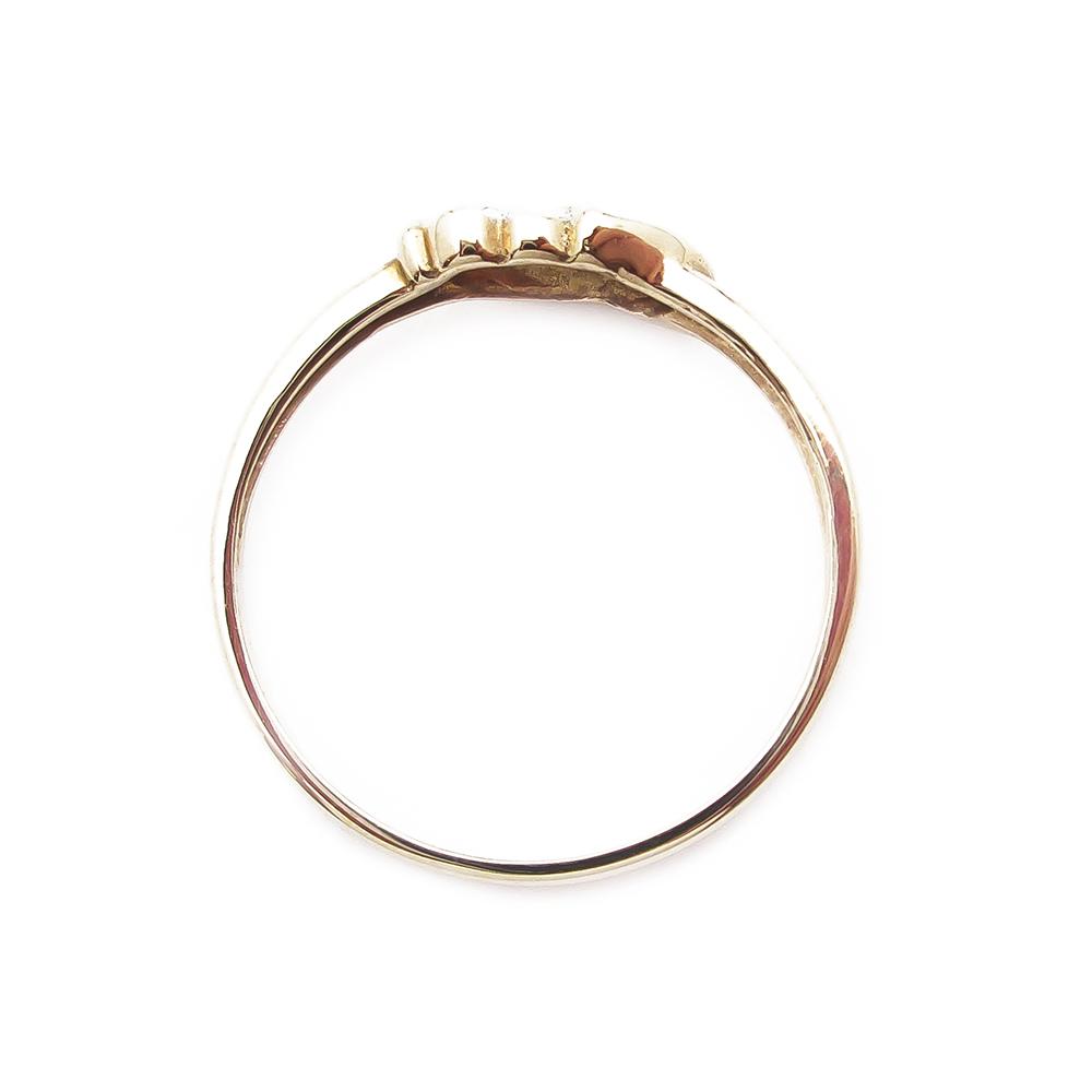 Kultainen timanttisormus sydämet 2 x 0,005 ct koko 16 #2