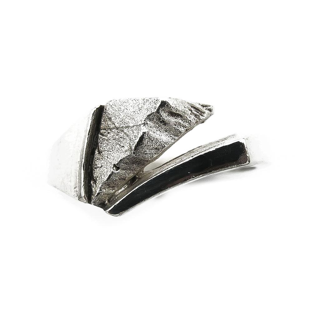 Tammen Koru hopeasormus 17,0mm #1