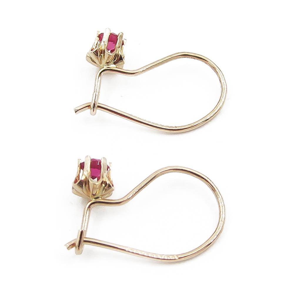 Koukkukorvakorut, pun. #3