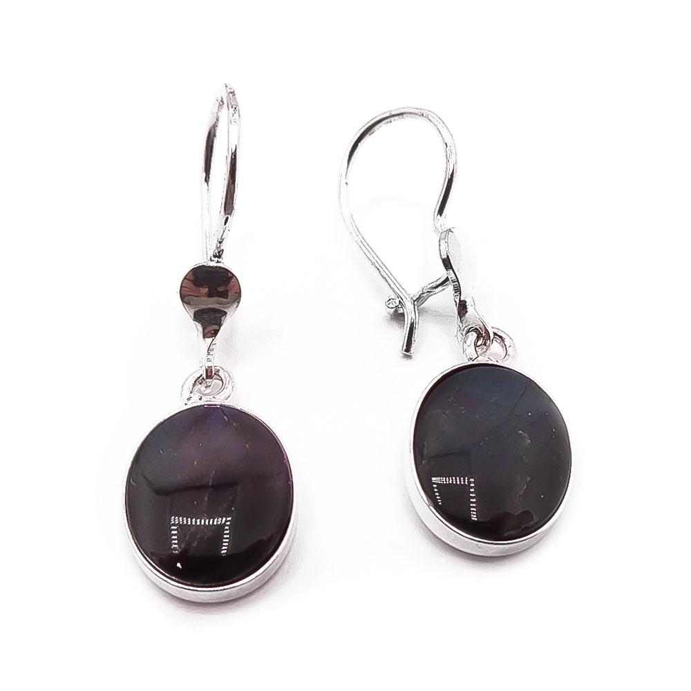 Hopeiset spectroliitti korvakorut #0