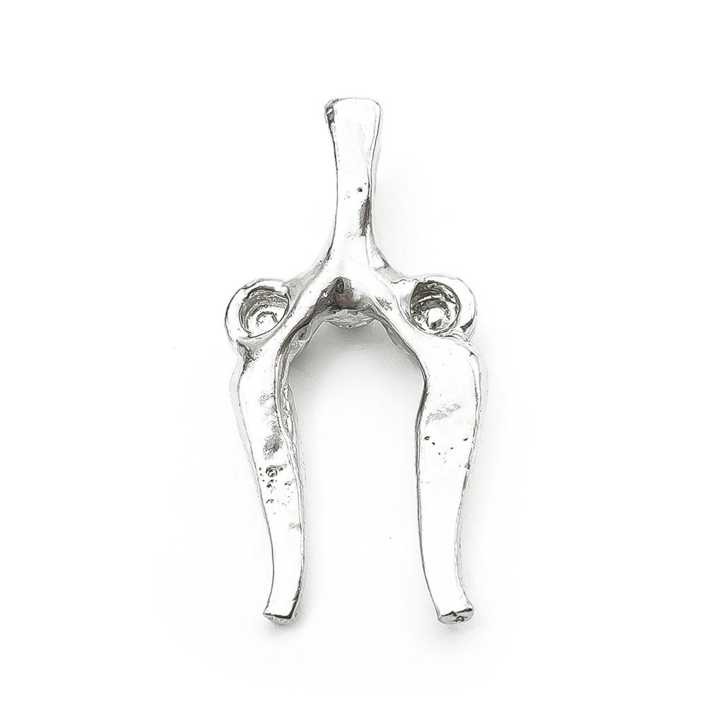 Torahammas hopeariipus #2