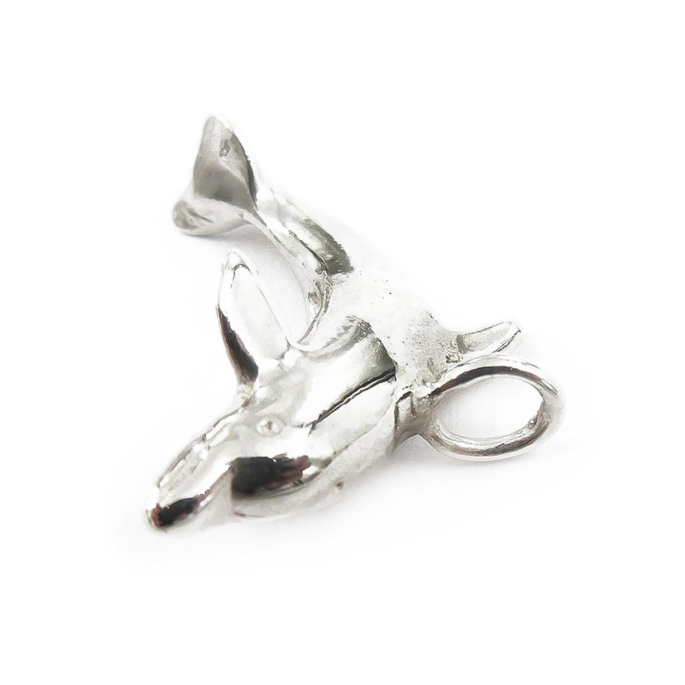 Hopeariipus delfiini riipus #1