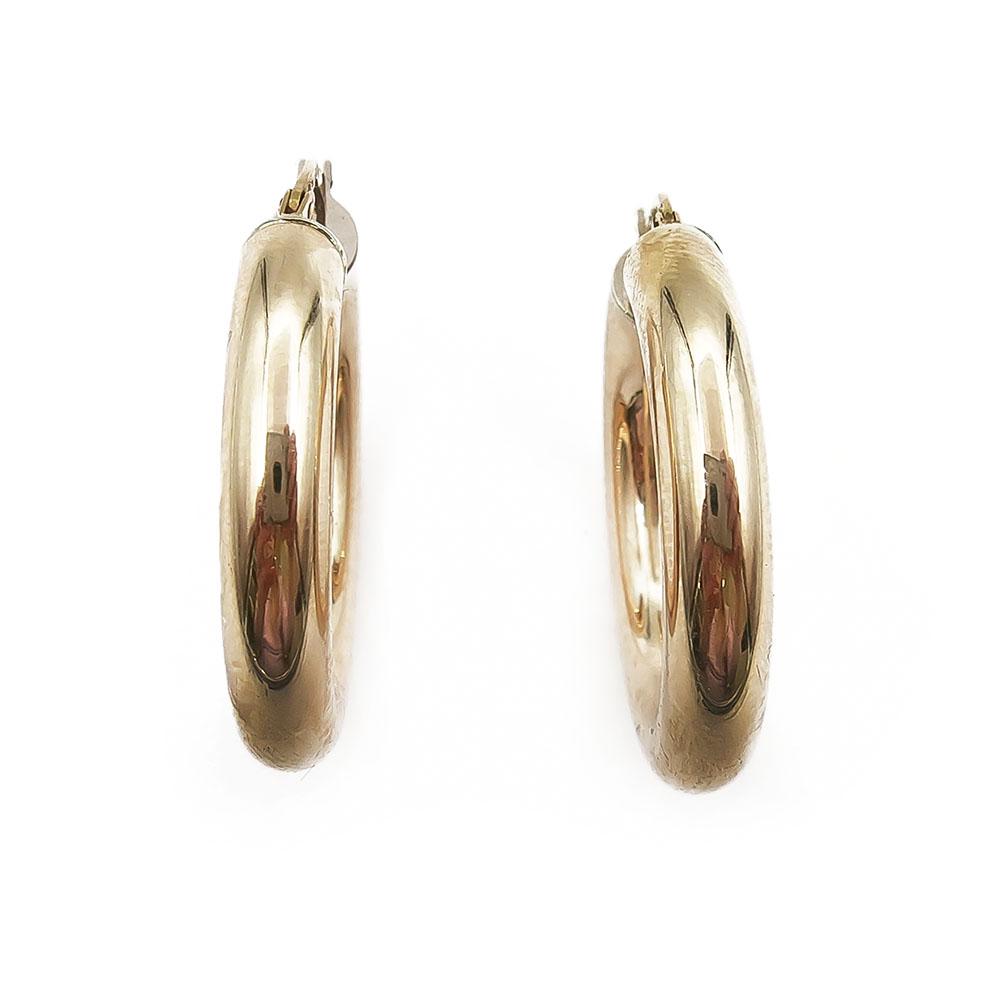 Kultaiset korvarenkaat #1