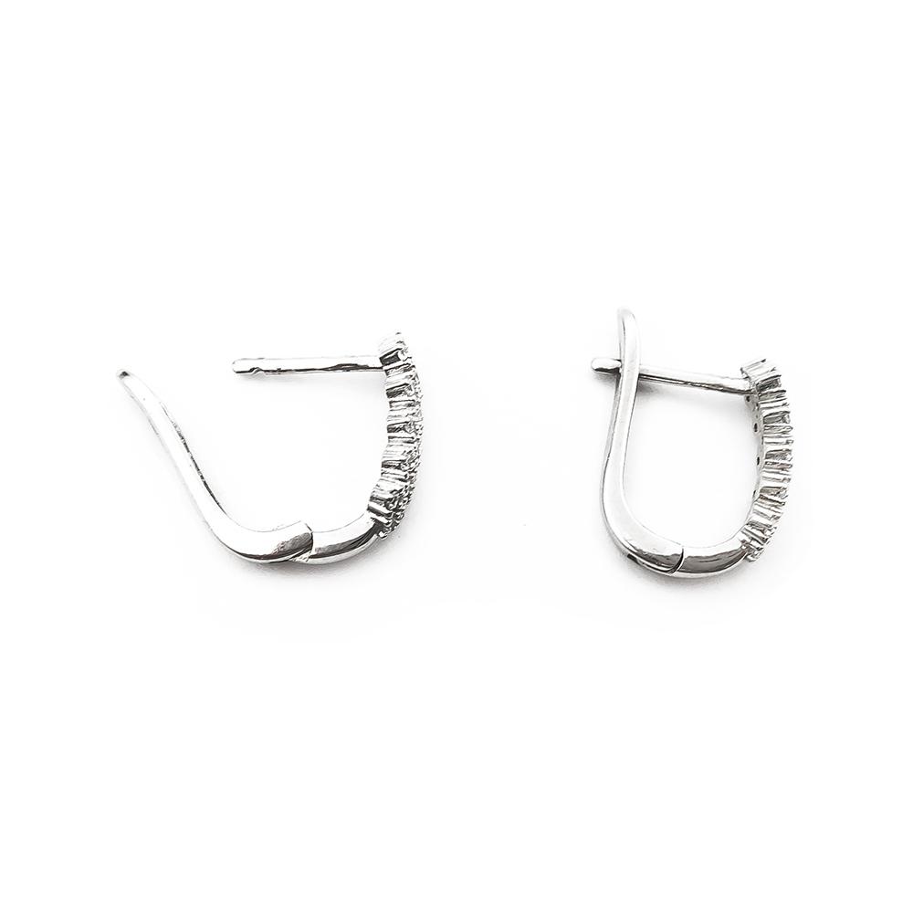 Saranalliset hopeakorvakorut kirkkain kivin #1