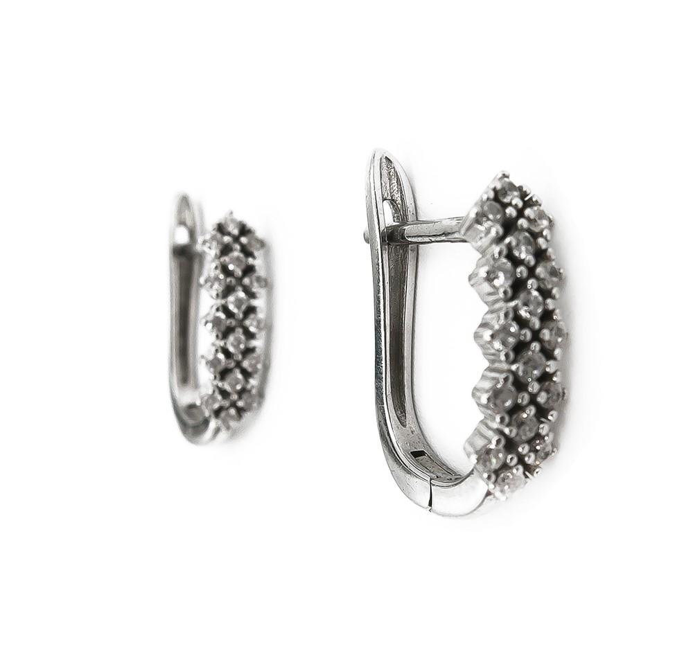 Saranalliset hopeakorvakorut kirkkain kivin #0