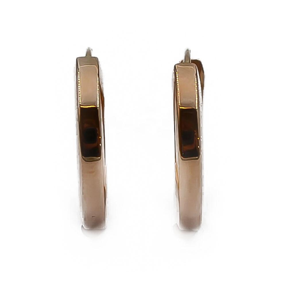 Kultaiset flakka korvarenkaat #1