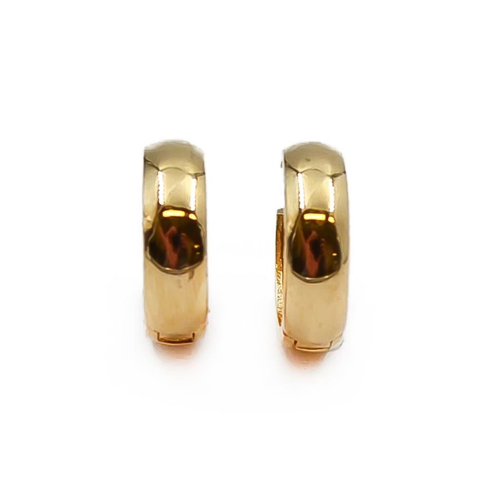 Kultaiset korvarenkaat saranalla #1