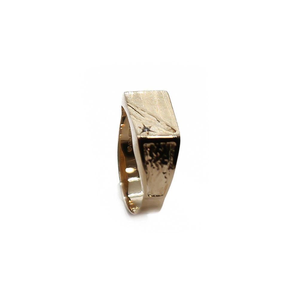 Kantasormus timantilla 0,001ct #1