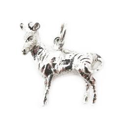 Tuotekuva Hopeinen riipus seepra