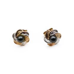 Tuotekuva Kultaiset Hematiitti korvakorut