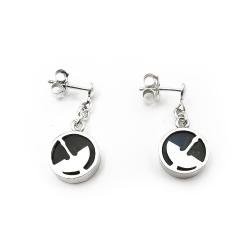 Tuotekuva Spectroliitti Joutsen korvakorut