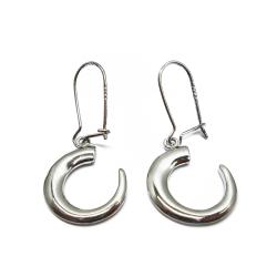 Tuotekuva Tapio Wirkkala Villisian hammas korvakorut